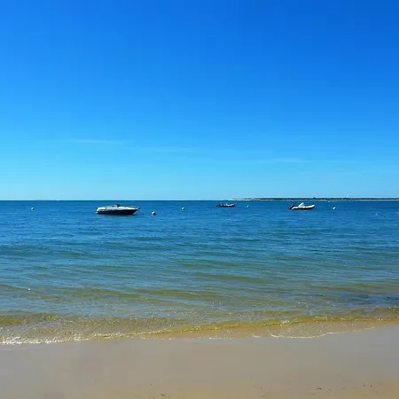 Centre Proche Gare Commerces Et Plage Spacieux T3 Avec Terrasse. 1 *